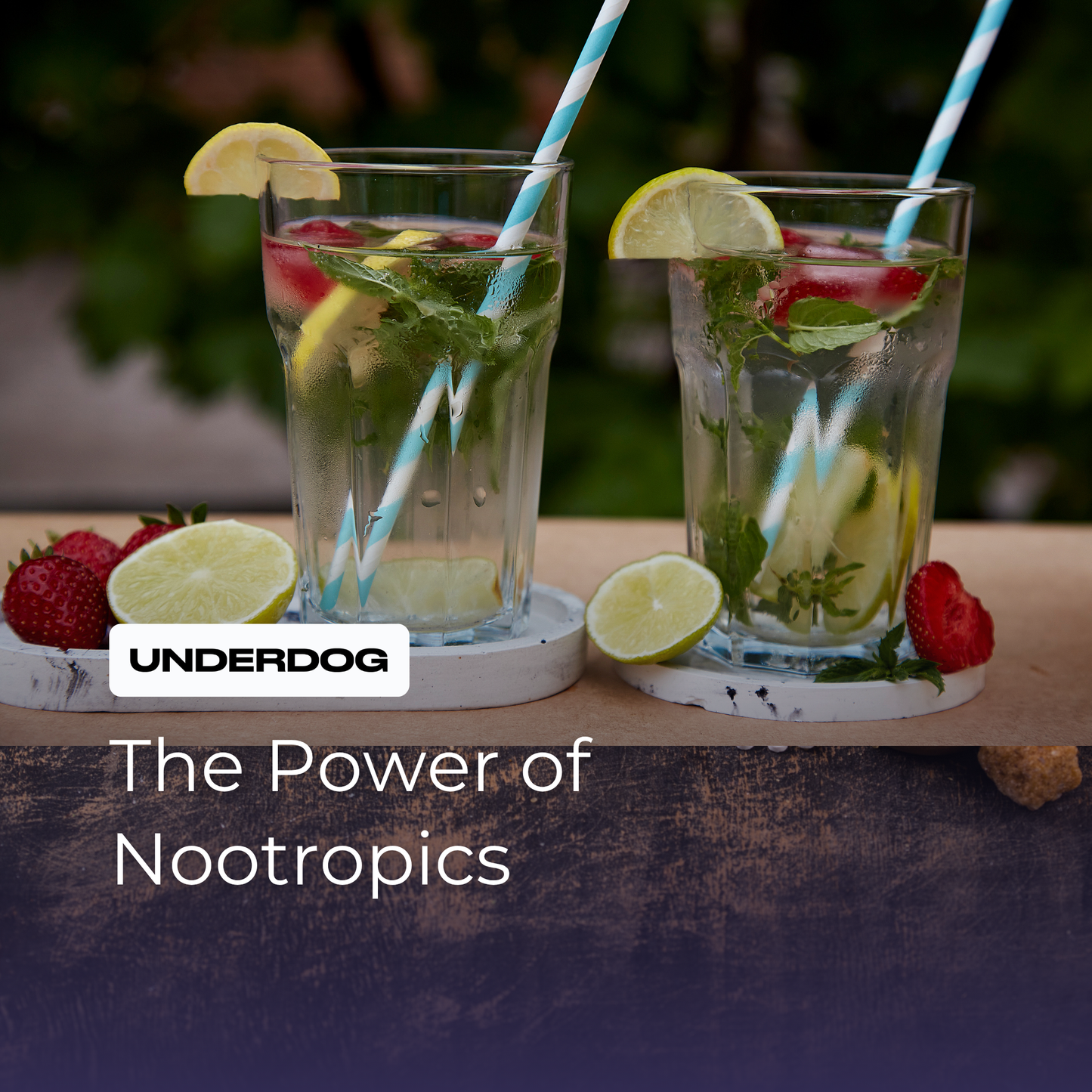 Why Underdog Energy Leads the Pack in Nootropics